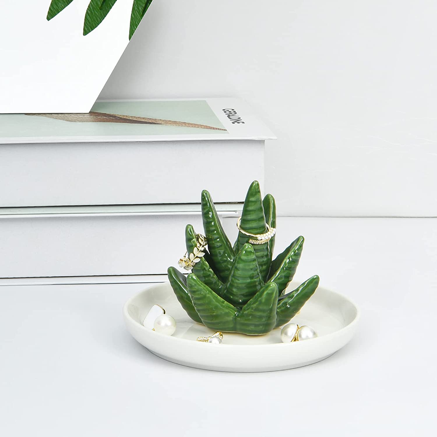 Succulent Ring Display – Soothe Rings