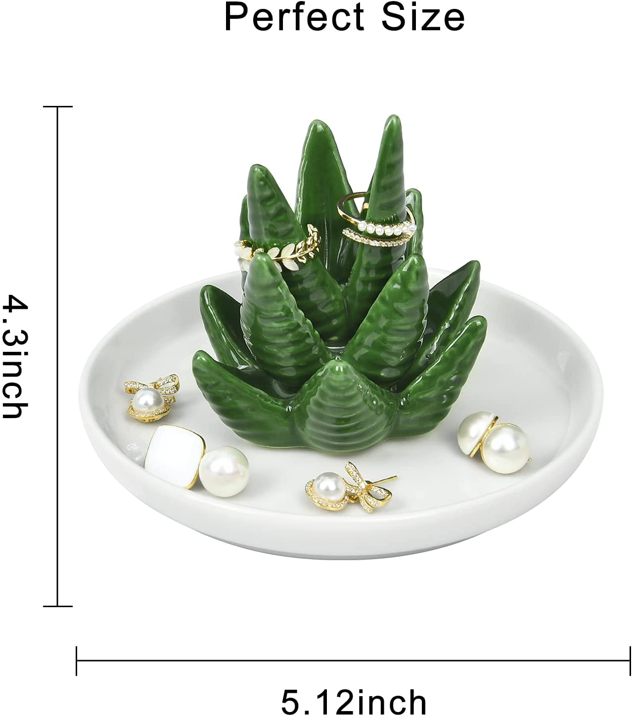 ring plant succulent Succulent Ring Display – Soothe Rings