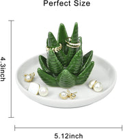 Succulent Ring Display